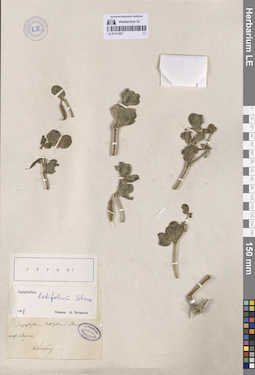 LE 01311827