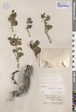 LE 01311828
