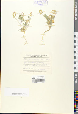 LE 01052003