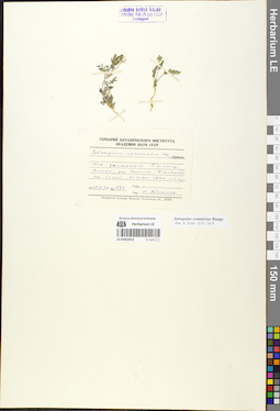LE 01052012