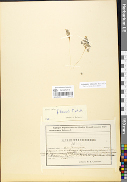 LE 01052015