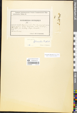 LE 01052019