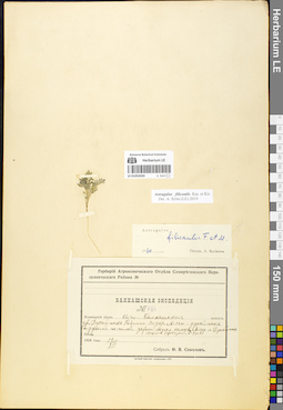 LE 01052020