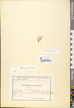 LE 01052021