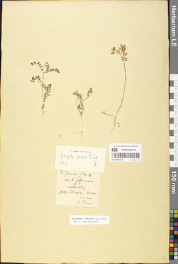 LE 01052022