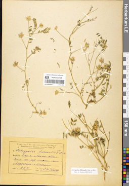 LE 01052023
