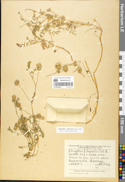 LE 01052024