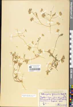 LE 01052025