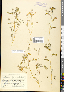 LE 01052026