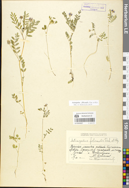 LE 01052027