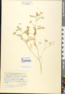 LE 01052029