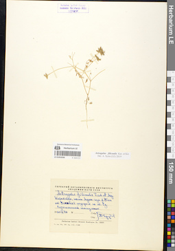 LE 01052030