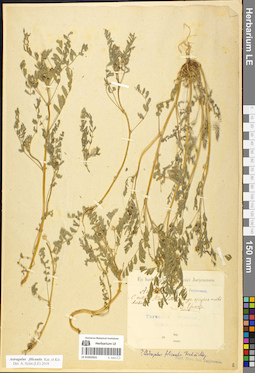 LE 01052031