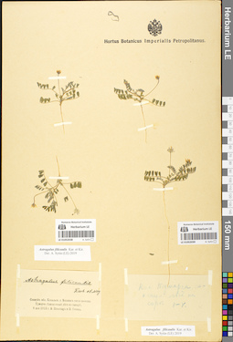 LE 01052039