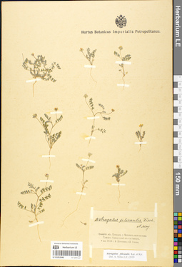 LE 01052040