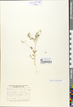 LE 01052043