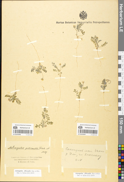 LE 01052047