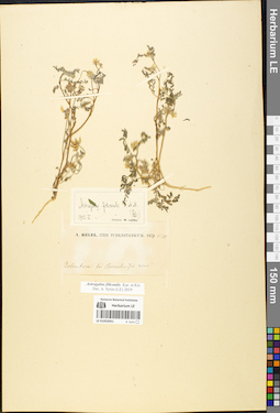 LE 01052051
