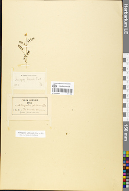LE 01052052