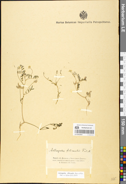 LE 01052053