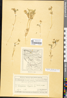 LE 01052082