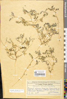 LE 01052083