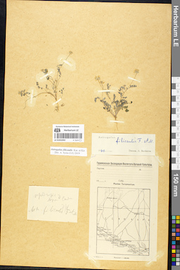 LE 01052092