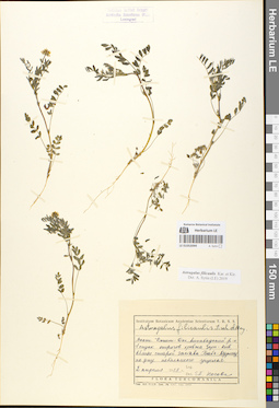 LE 01052094
