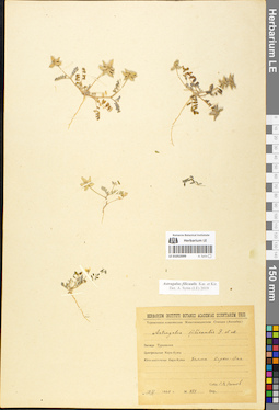 LE 01052099