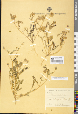 LE 01052100