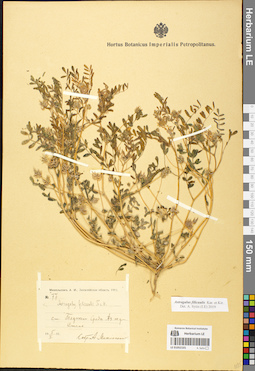 LE 01052101