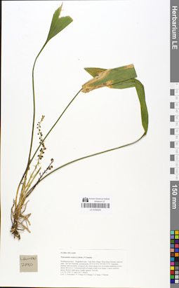 LE 01050203