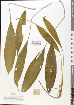 LE 01050206