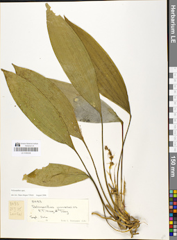 LE 01050208