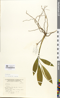LE 01050251