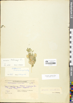 LE 01050877