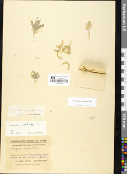 LE 01050884