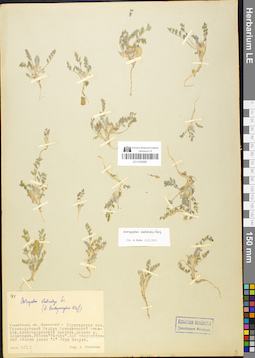 LE 01050887