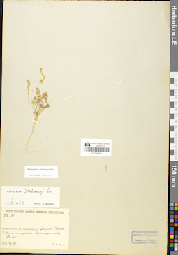 LE 01050888