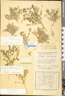 LE 01052056