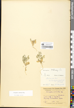 LE 01052057