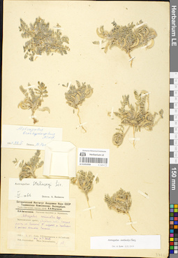 LE 01052058