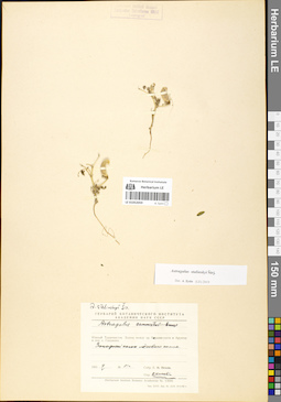 LE 01052059