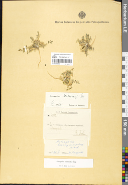 LE 01052063