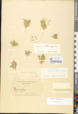 LE 01052068