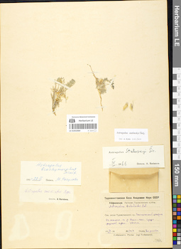 LE 01052069