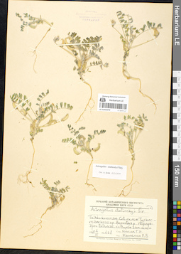 LE 01052070