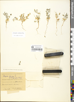LE 01052072