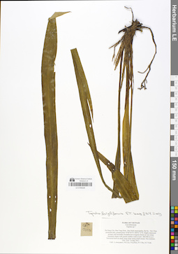 LE 01050228