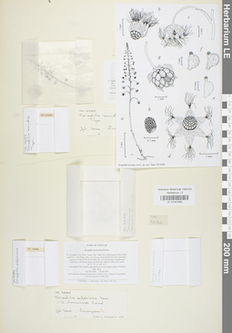 LE 01041991